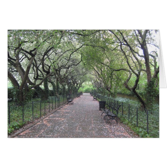Conservatory Garden Central Park NYC Photography (Voorkant Horizontaal)