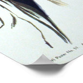  conservering en conservenindustrie in de Tweede W Poster (Hoek)