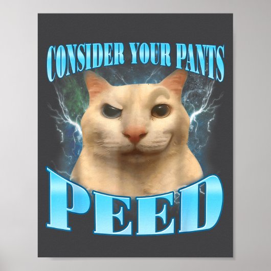 Consider Your Pants Peed Funny Freak Cat Meme Humo Poster (Voorkant)