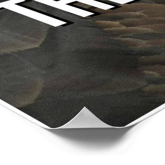 Consistency Is the Resolution Motivation Poster (Hoek)