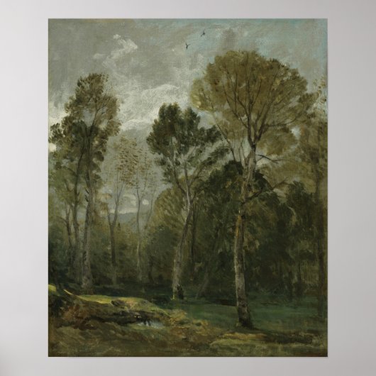 Constable - Gezicht op een bosje Poster (Voorkant)