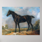 Constable - Golding's zwarte ringpaard Poster (Voorkant)