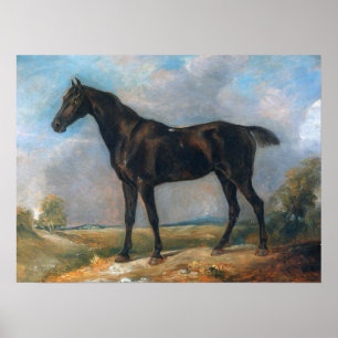 Constable - Golding's zwarte ringpaard Poster