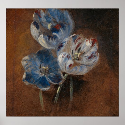 Constable - Studie van drie papegaai tulpen 1832 Poster (Voorkant)