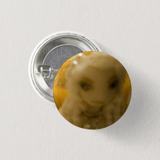 Constance Ronde Button 3,2 Cm (Voorkant /achterkant)