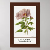 Constans Hibiscus Inspirerend Poster Print (Voorkant)
