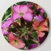"Constant Cheer" Wallflower Button of badge (Voorkant)