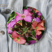 "Constant Cheer" Wallflower Button of badge (In situ)