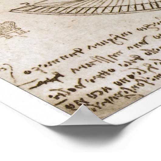 Constante en parabole krommingen, Leonardo da Vinc Poster (Hoek)