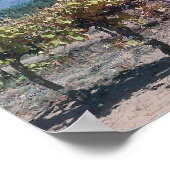 Constantia Vineyards, Westerne cape Poster (Hoek)