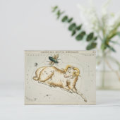 constellatie illustratie briefkaart (Staand voorkant)