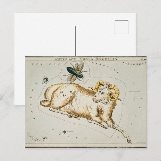 constellatie illustratie briefkaart (Voorkant / Achterkant)