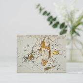  constellatie illustratie briefkaart (Staand voorkant)