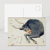  constellatie illustratie briefkaart (Voorkant / Achterkant)