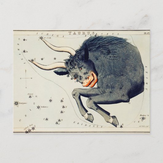  constellatie illustratie briefkaart (Voorkant)