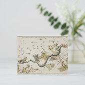  constellatie illustratie briefkaart (Staand voorkant)