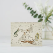  constellatie illustratie briefkaart (Staand voorkant)