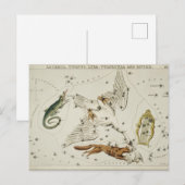  constellatie illustratie briefkaart (Voorkant / Achterkant)