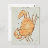  constellatie illustratie briefkaart (Voorkant / Achterkant)