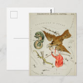  constellatie illustratie briefkaart (Voorkant / Achterkant)