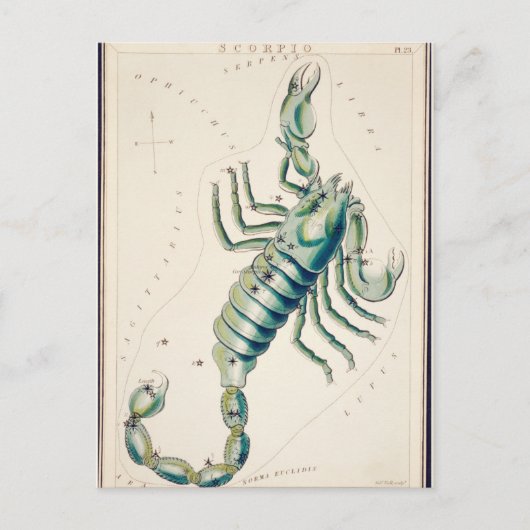  constellatie illustratie briefkaart (Voorkant)