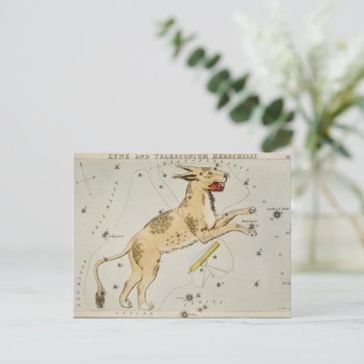  constellatie illustratie briefkaart (Staand voorkant)