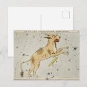 constellatie illustratie briefkaart (Voorkant / Achterkant)