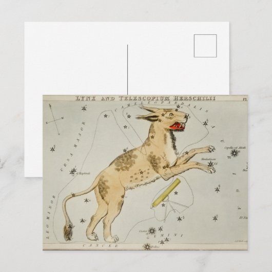 constellatie illustratie briefkaart (Voorkant / Achterkant)