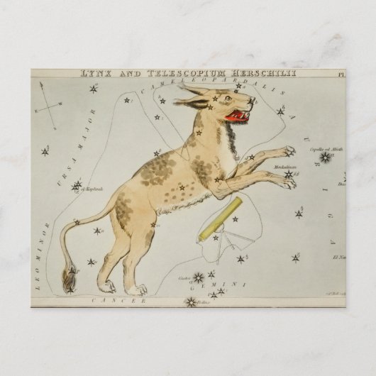 constellatie illustratie briefkaart (Voorkant)