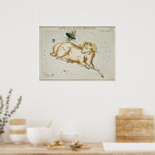 constellatie illustratie poster (Keuken)