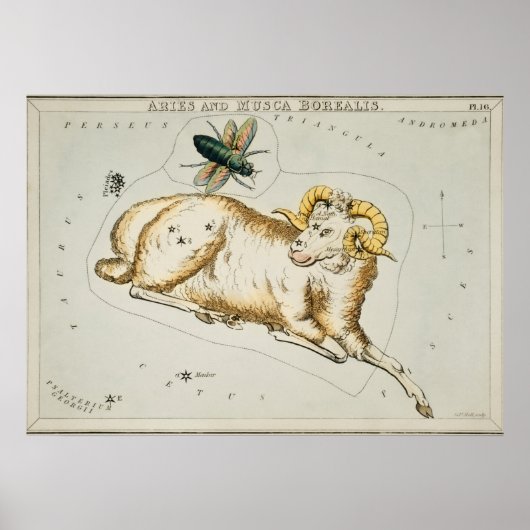 constellatie illustratie poster (Voorkant)