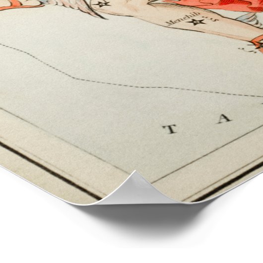  constellatie illustratie poster (Hoek)