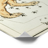  constellatie illustratie poster (Hoek)
