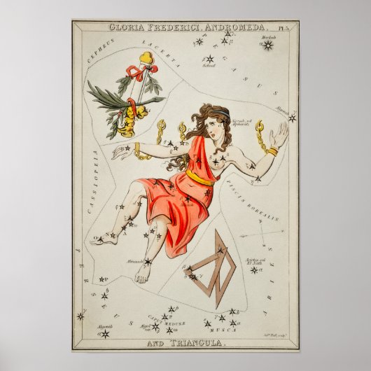 constellatie illustratie poster (Voorkant)