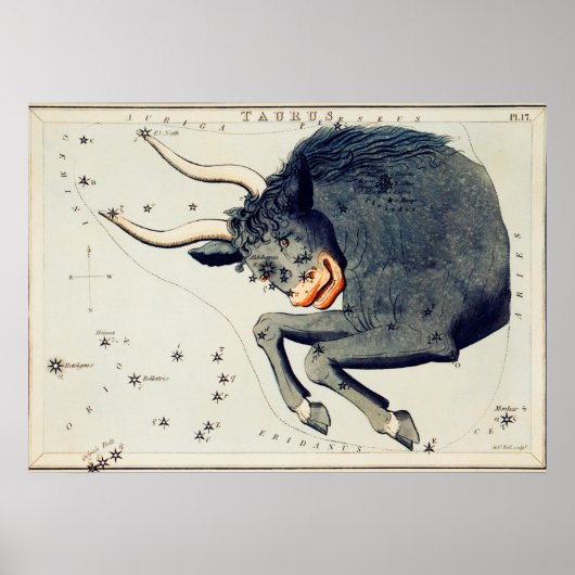 constellatie illustratie poster (Voorkant)