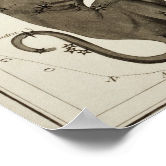 constellatie illustratie poster (Hoek)