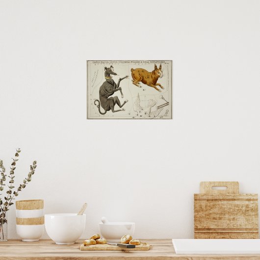  constellatie illustratie poster (Keuken)