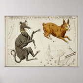  constellatie illustratie poster (Voorkant)