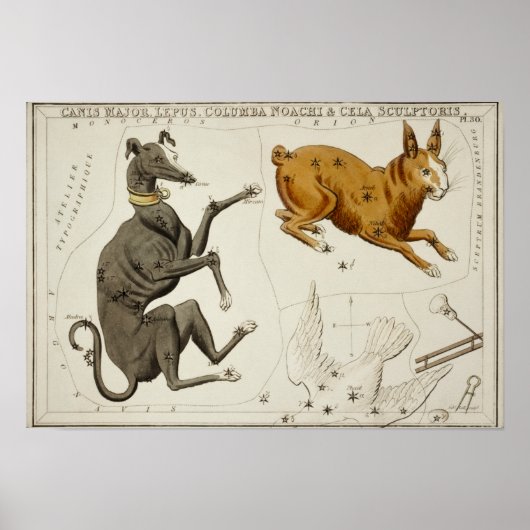 constellatie illustratie poster (Voorkant)