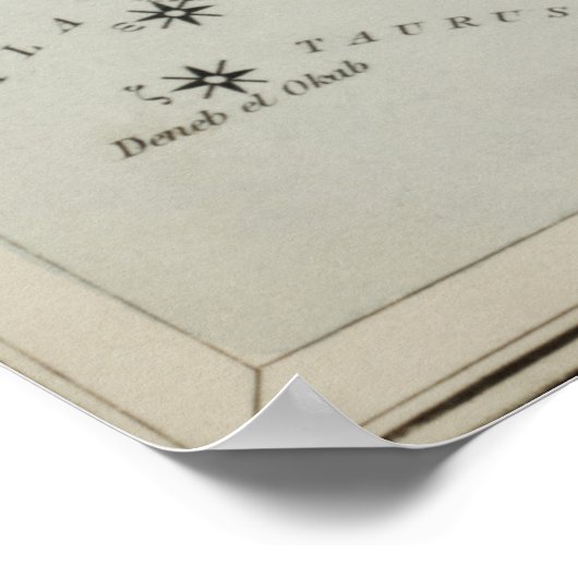  constellatie illustratie poster (Hoek)