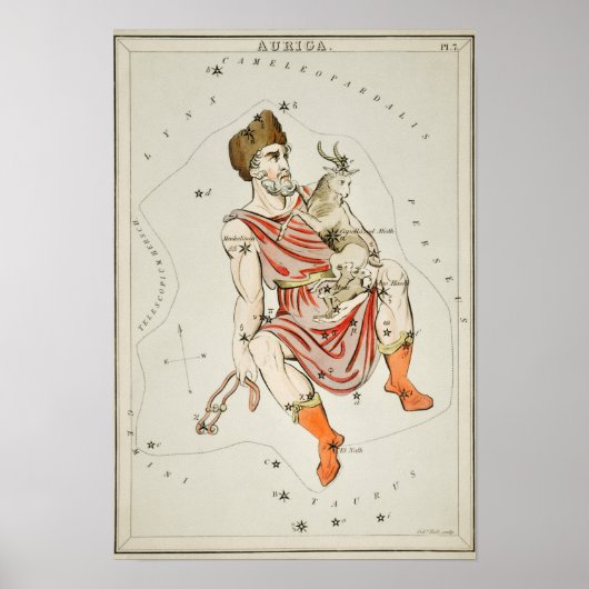  constellatie illustratie poster (Voorkant)