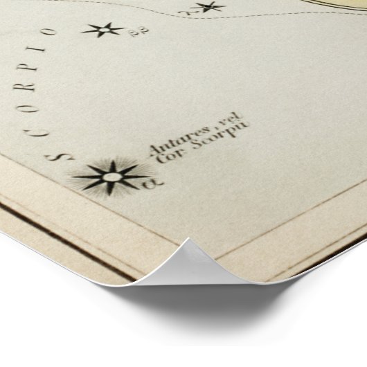 constellatie illustratie poster (Hoek)