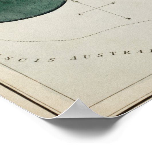  constellatie illustratie poster (Hoek)