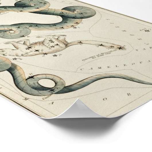  constellatie illustratie poster (Hoek)