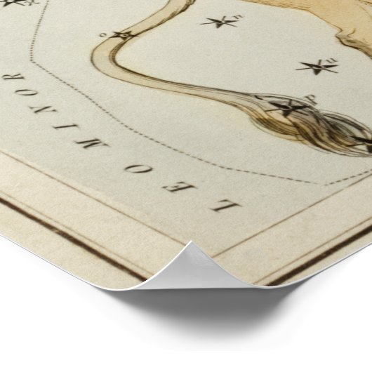  constellatie illustratie poster (Hoek)