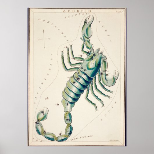  constellatie illustratie poster (Voorkant)