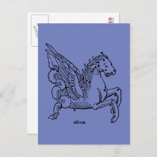 Constellatie: Pegasus Briefkaart (Voorkant / Achterkant)