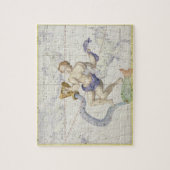 Constellatie van Aquarius, bord 9 van "Atlas Coe. Legpuzzel (Verticaal)