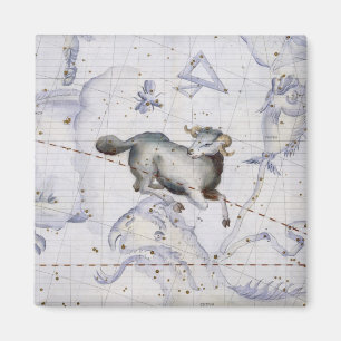 Constellatie van Aries, bord 4 van de "Atlas Coele Magneet
