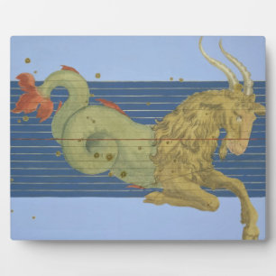 Constellatie van Capricorn uit "Uranometria" door Fotoplaat